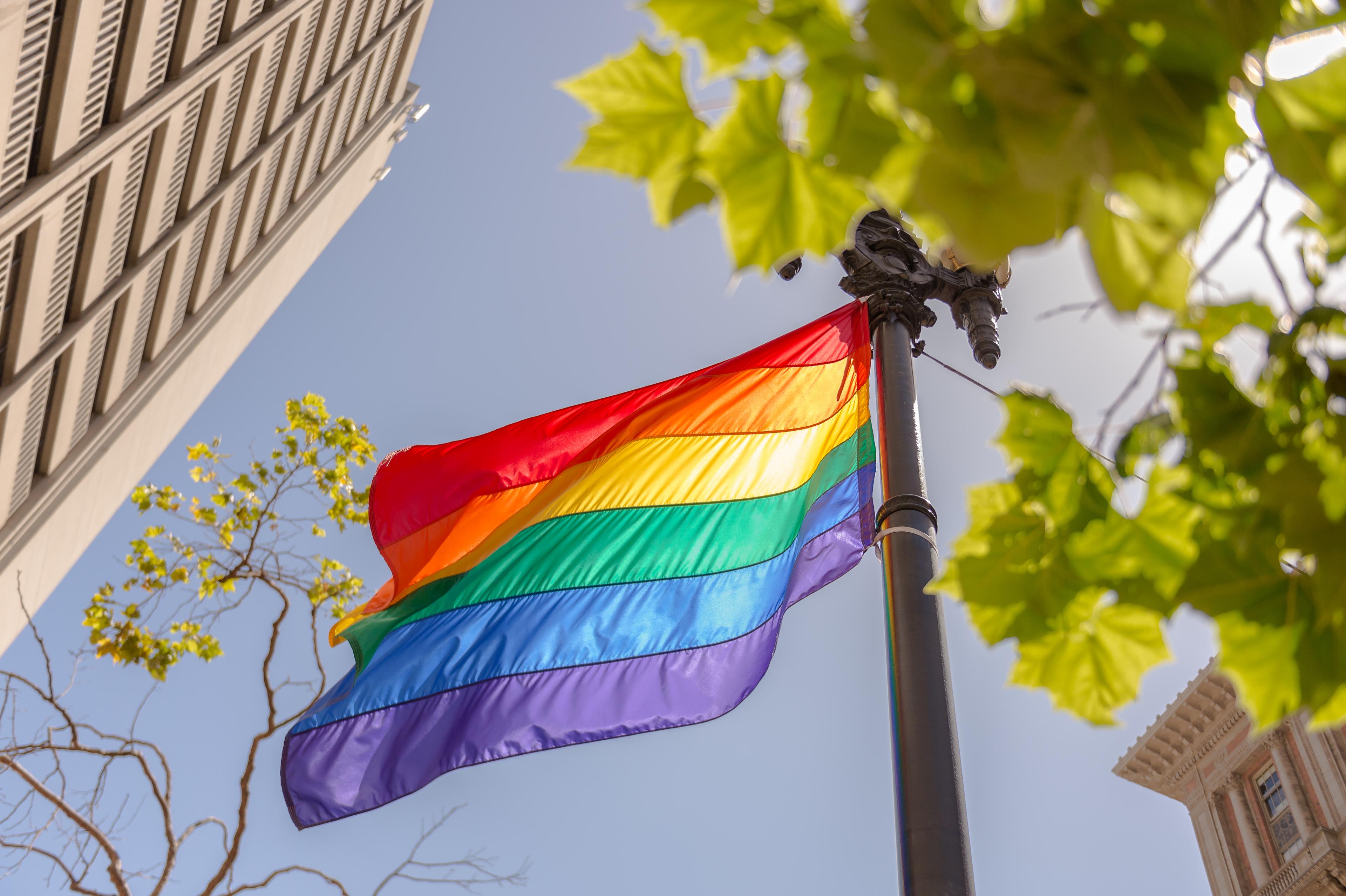Stay with Pride